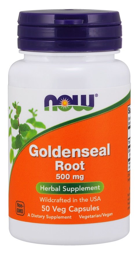 NOW Foods Goldenseal Root, 500mg - 50 kapsulių